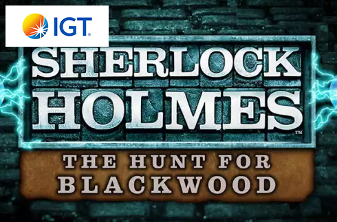 Sherlock Holmes The Hunt for Blackwood Slot